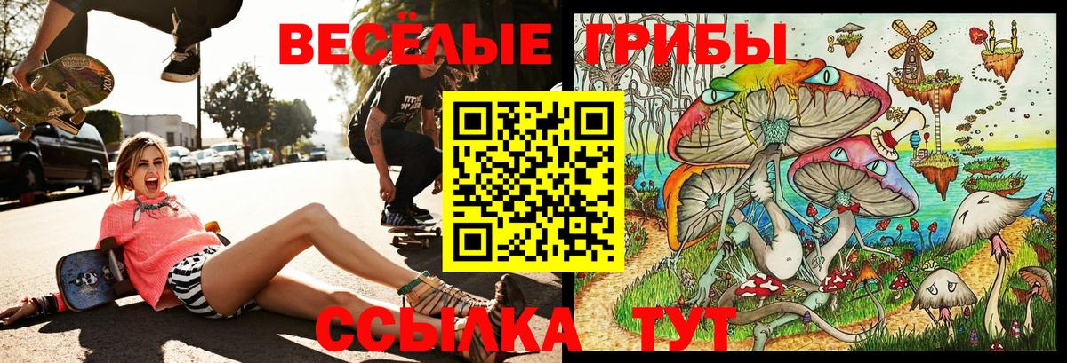 Псилоцибиновые грибы MAGIC MUSHROOMS  Псилоцибиновые грибы GOLDEN TEACHER  Жигулёвск  Вход с VPN 